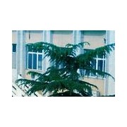 河北省滄州衛生學(xué)校