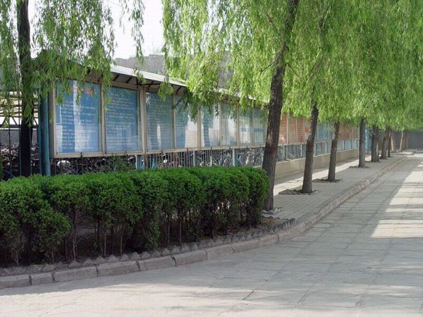 山東平陰衛生職業(yè)學(xué)校網(wǎng)站網(wǎng)址