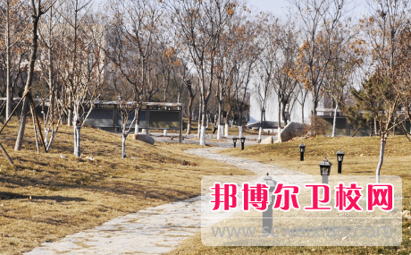 山東2023年有哪些衛校最好就業(yè)