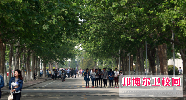 山東2023年有哪些衛校最好就業(yè)