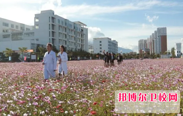 紅河衛生職業(yè)學(xué)院的護理專(zhuān)業(yè)招生情況(2023參考)