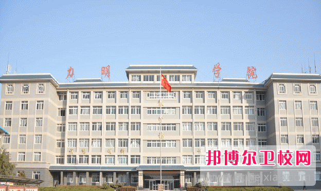 2023山東力明科技職業(yè)學(xué)院有哪些專(zhuān)業(yè) 山東力明科技職業(yè)學(xué)院開(kāi)設的專(zhuān)業(yè)一覽表