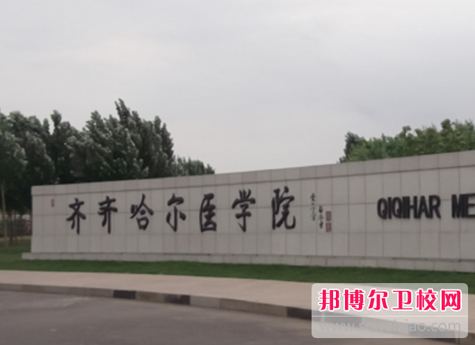 2023齊齊哈爾公辦衛生學(xué)校有哪些 齊齊哈爾公辦衛生學(xué)校名單一覽表