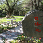 新疆第二醫學(xué)院