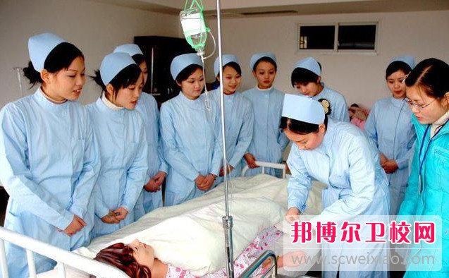 湖北2024年護理學(xué)校有什么專(zhuān)業(yè)適合女生
